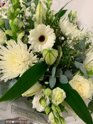 Wonderful Whites