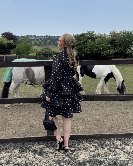 Margot Long Sleeve Polkadot Ruffle Dress