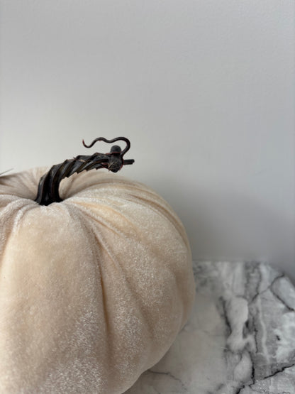 Cream velvet pumpkin