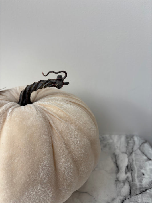 Cream velvet pumpkin