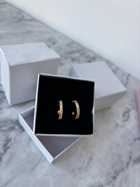 Poppy Sparkle Hoop Earrings