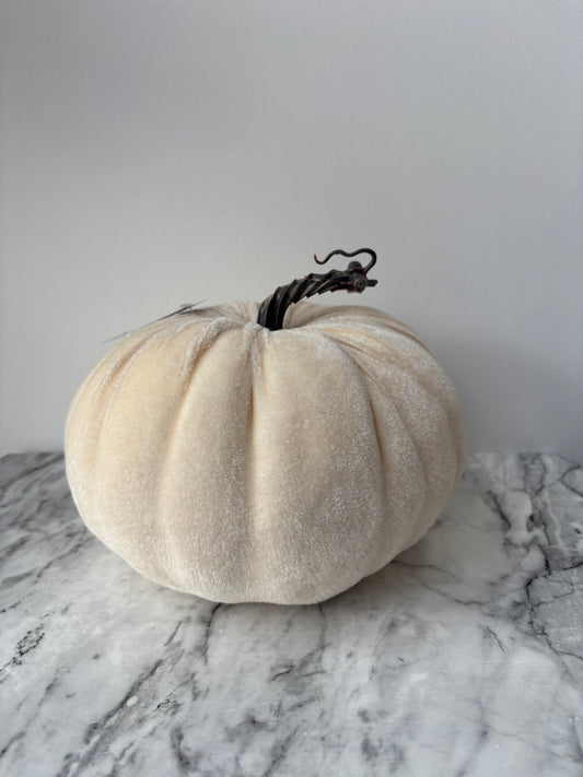 Cream velvet pumpkin