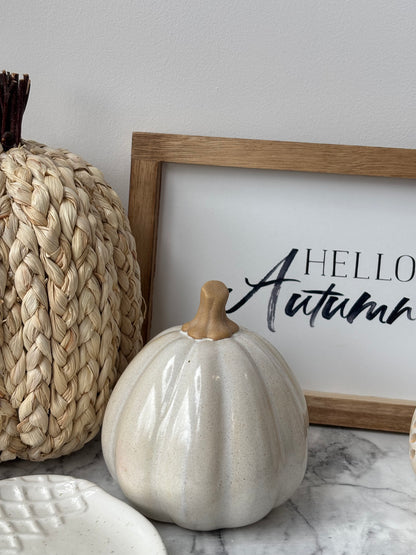 Speckled ceramic pumpkin